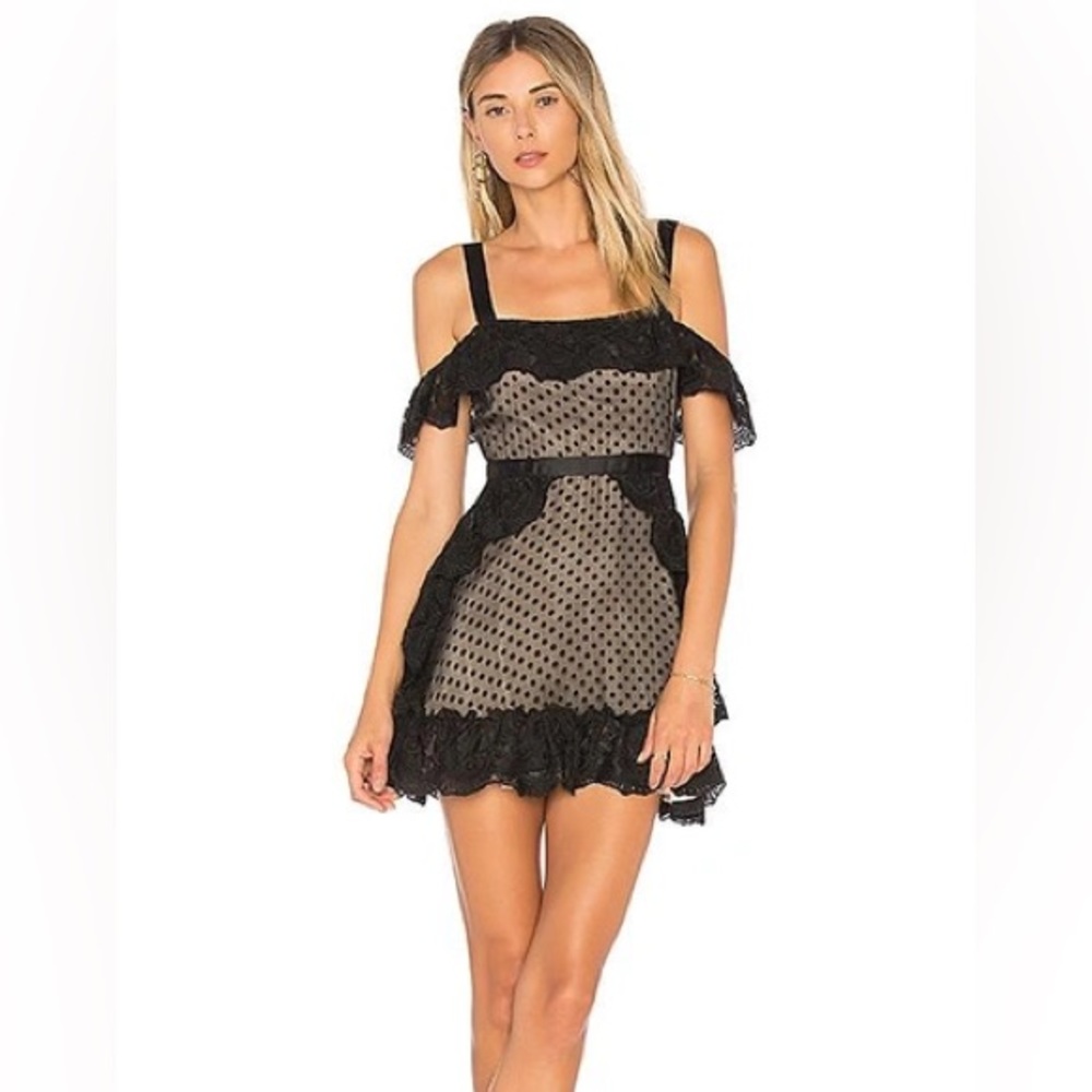 Majorelle Aquarius Ash Polka Dot Sheer Dress - Size XS